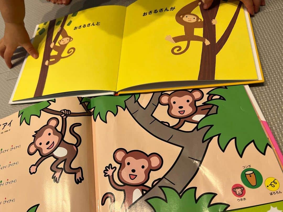 石橋杏奈のインスタグラム：「お猿さん  娘はお猿さんを見るとママと言います 私のことをお猿さんだと思っているようですね🙈  #お猿さん #アイアイ」