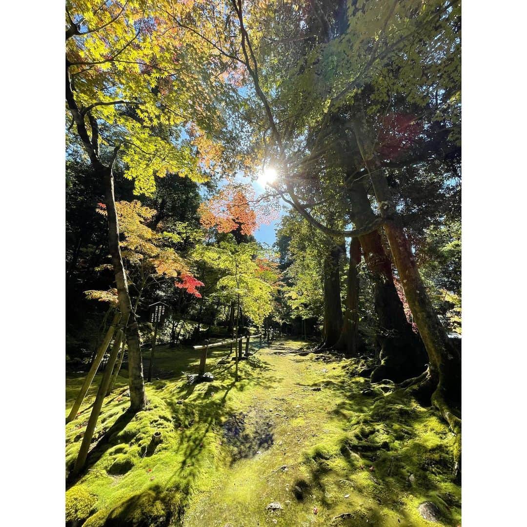 神野友亜のインスタグラム：「先日、滋賀県の #西明寺 に行きました‼︎  お寺も庭園もすごく神秘的でした…。 緑の苔がとっても綺麗で…‼︎ 心が洗われました。 今はきっと、紅葉が綺麗です🍁 皆さんも滋賀県に行った際はぜひ…‼︎  本日もお疲れ様でした🍁」
