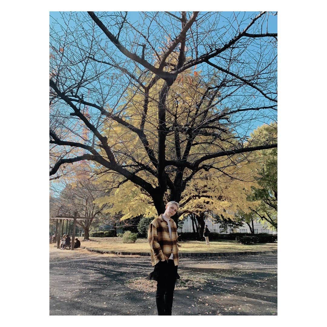 小原ブラスさんのインスタグラム写真 - (小原ブラスInstagram)「秋も終盤🍁 イチョウの葉っぱが舞う季節🍂  #東京タワー の下にある芝公園行くと、仕事の休憩のOLとかカップルがいっぱい。皆色々抱えてるんやろうけど、幸せそうで平和を感じるわ☺️  秋といえばなんやろ？ #読書の秋 #食欲の秋 #芸術の秋  色々言うけど、秋はただの秋よ。 夏と冬の間、グレーゾーン。 「もうすぐクリスマスなのに恋人いないどうしよー」とか言って、傷を舐め合う季節でもあるわ。  #そんな #秋 #が #好き #皆は #秋といえば #なにかな #ぴ」11月27日 14時38分 - kobara.vlas