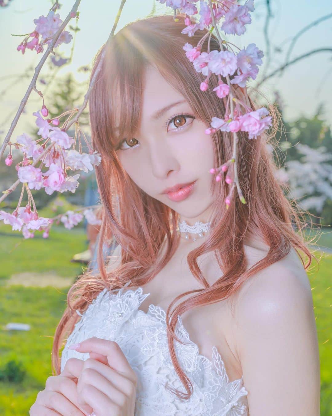 矢澤あづなのインスタグラム：「春までもう少し🌸  祭火さんの写真は個人的にとっても好きなので またポトレや撮影に是非とも行きたい…！✨  過去の撮影の中でこの時の桜ポトレ写真たちが いちばんお気に入りです☺️🌸  #ポトレ #ポートレート #撮影モデル #桜 #桜ポートレート #祭火 #portrait #photo #sakura #spring #springphotography #camera #beautyphotography #followｍe #フォローしてね 🌸」