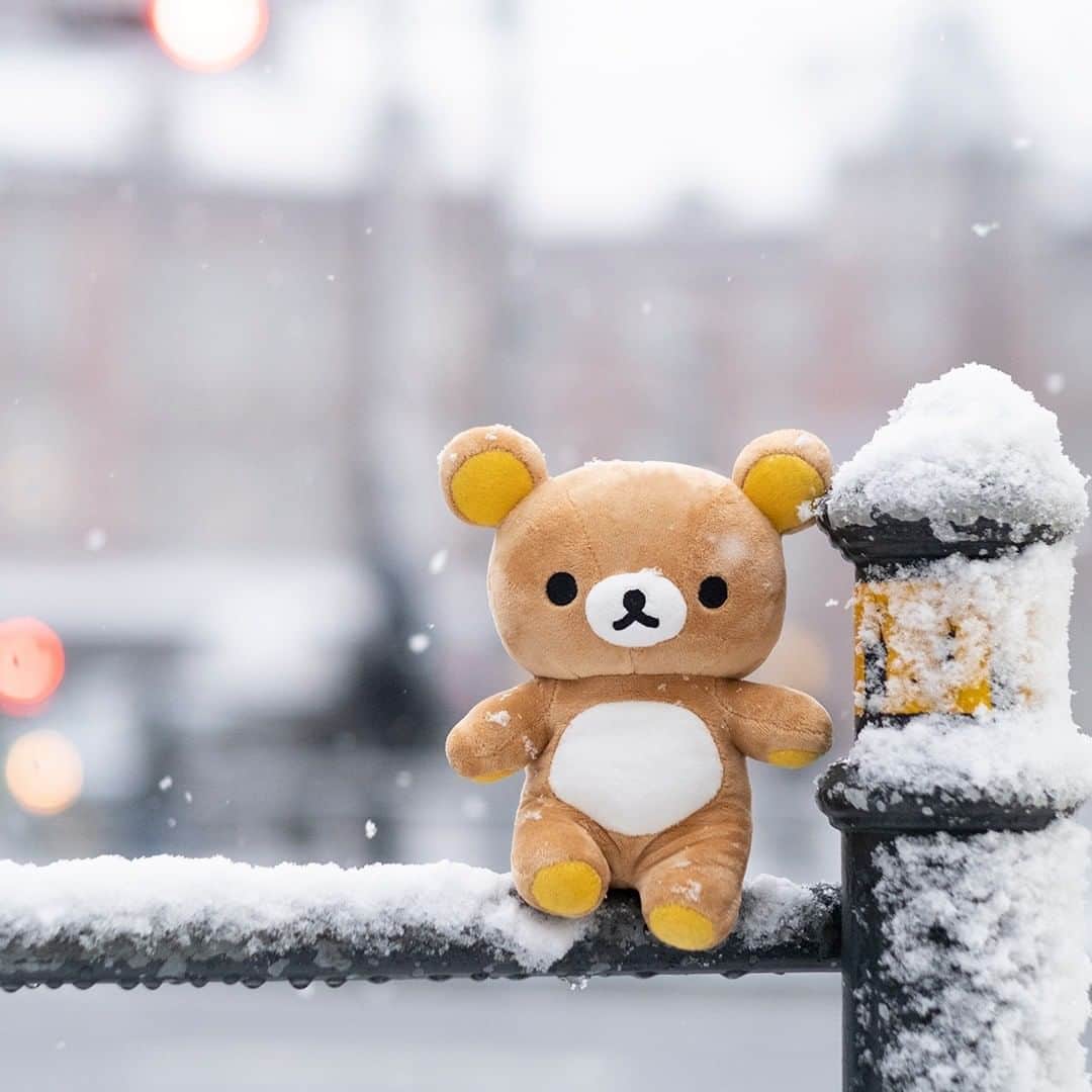 ☆期間限定リラックマ公式Instagram☆のインスタグラム：「【リラックマがいる暮らし＃58】 雪がキラキラ舞う日のお散歩。 ちょうどよいスポットを見つけてパシャリ。 リラックマと一緒なら、寒くないね。  #リラックマがいる暮らし #リラックマ #冬 #雪 #rilakkuma #winter  #snow #拉拉熊 #🐻 #☃️ #⛄️」