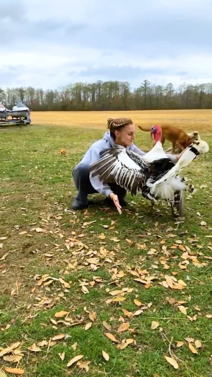 BEAUTIFUL DESTINATIONSのインスタグラム：「Sharing @thebloominbarnyard's happy place in North Carolina. 🦃 The Bloomin' Barnyard is a mini farm full of love and animals—think goats, donkeys, a cow, chickens, turkeys, and the list goes on!  The mini farm's goal is to spread love to its community by being kind and caring towards these farm animals. ❤️  Did this make you smile today? ✨  📽 @thebloominbarnyard 📍 North Carolina, US 🎶 Hugh Grant, Haley Bennett - Way Back Into Love」