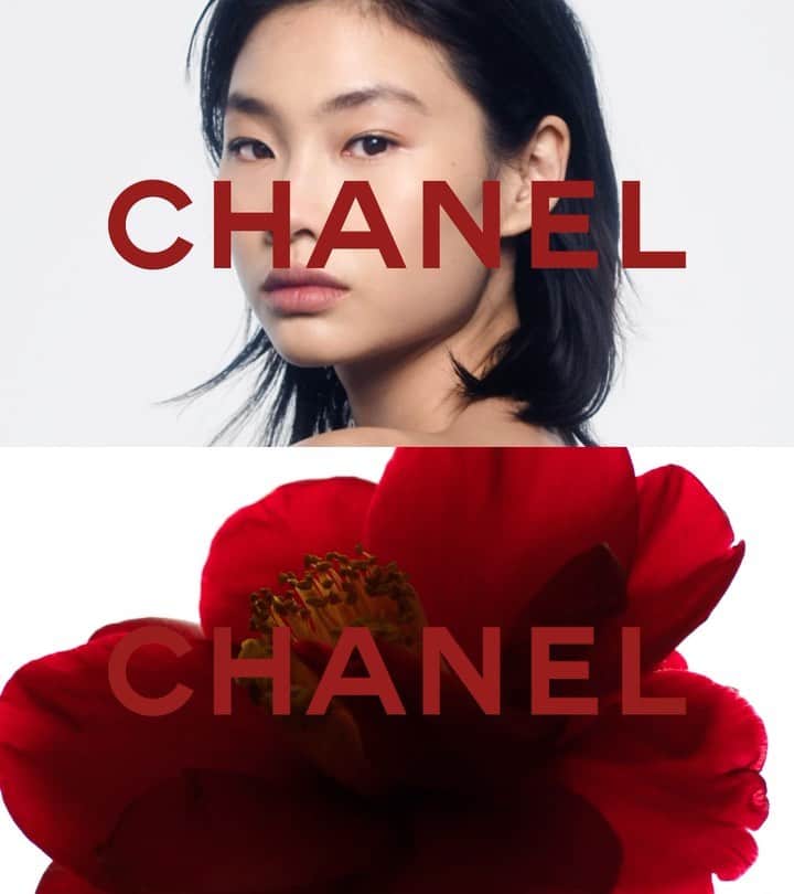 チョン・ホヨンのインスタグラム：「♥️ N°1 DE CHANEL  is an eco-responsible holistic, anti-aging beauty line formulated with red camellia extract.  @chanel.beauty  #N1DECHANEL」
