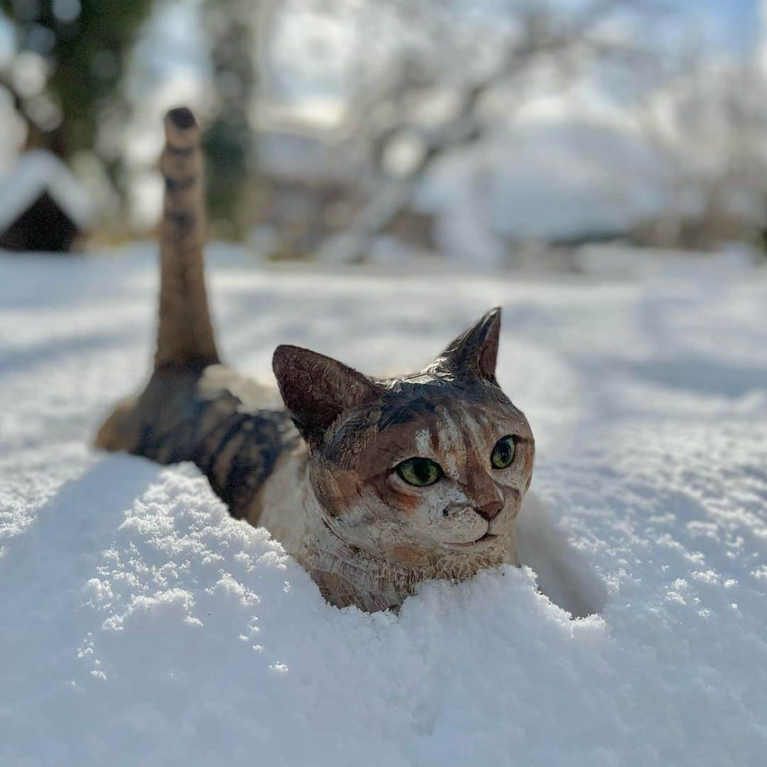 はしもとみおのインスタグラム：「雪とチミちゃん  #チミトン#ポチ実 #snow#wood #woodworking #woodcarving #cat #snowcats」