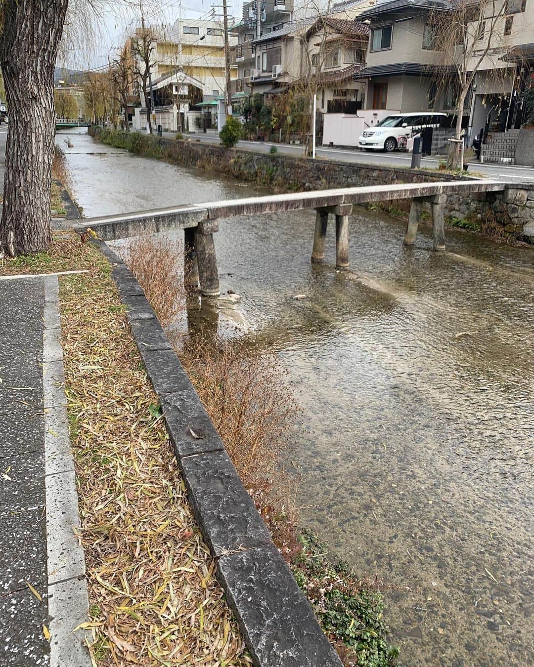 津田篤宏のインスタグラム：「ここすっきゃわー💕こういう所だいすき #💕 #京都の祇園の近くの白川 #この川沿いに住みたい」