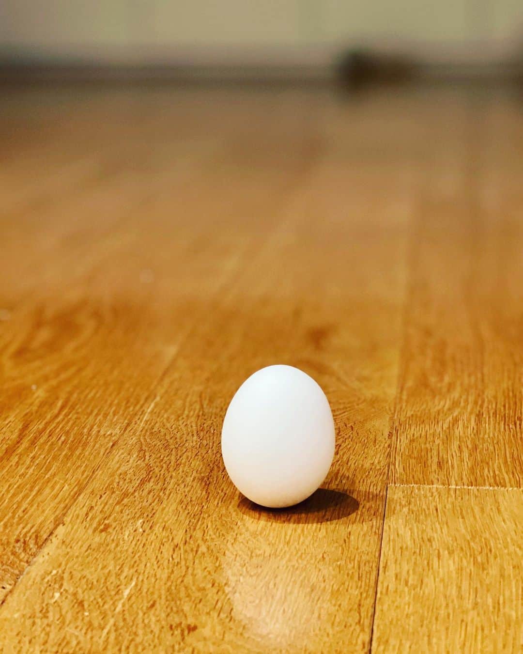 奥貫薫さんのインスタグラム写真 - (奥貫薫Instagram)「.  「今日は立春だから卵を立てる！」 と、朝から息子が張り切っていました。 そして、立ったー！！🥚 テーブルから転がりおちて割れかけた卵は、オムレツに笑 こんなささやかなできごとが愛しくて、何より幸せです。」2月4日 21時21分 - kaoru_okunuki