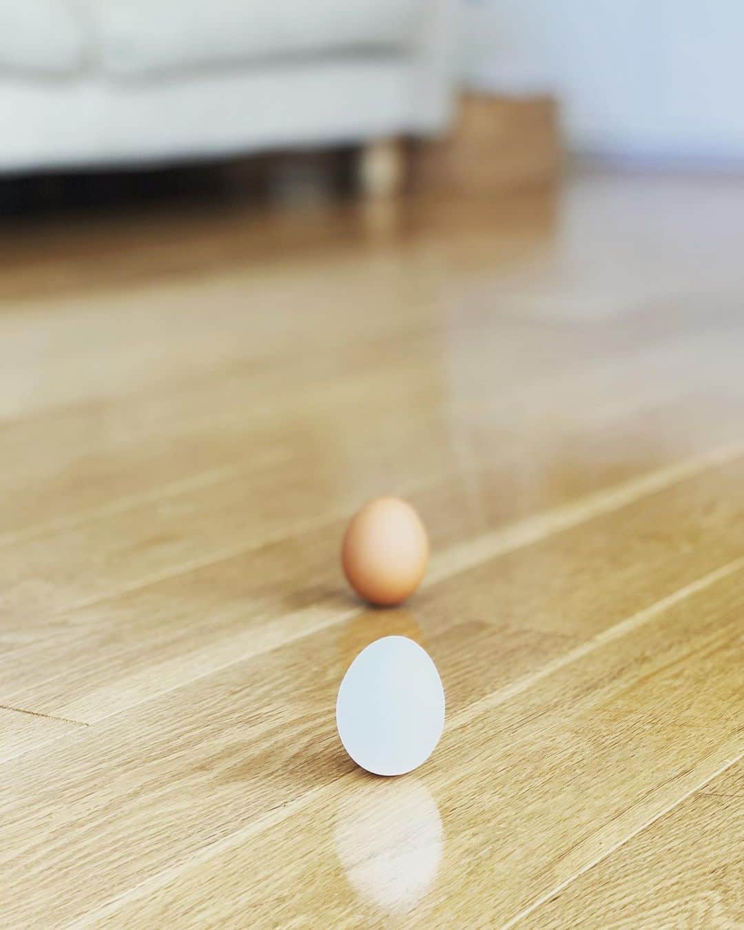 奥貫薫さんのインスタグラム写真 - (奥貫薫Instagram)「.  立春の日、冷蔵庫の中にあった卵がぜんぶ立ちました🥚 その集中力をべつのことに活かせないかと思いつつ笑、 床暖房の上であたたまって生まれちゃうかも！ なんて話しながら、楽しかったね そして、カメラロールが卵の写真だらけ○。°」2月5日 11時44分 - kaoru_okunuki