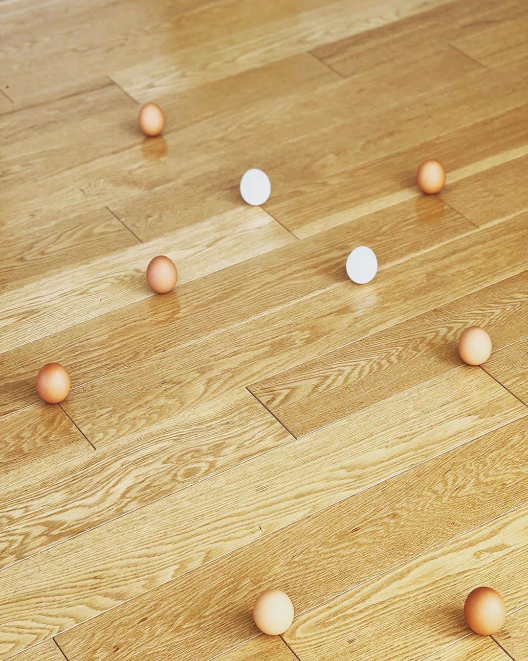 奥貫薫さんのインスタグラム写真 - (奥貫薫Instagram)「.  立春の日、冷蔵庫の中にあった卵がぜんぶ立ちました🥚 その集中力をべつのことに活かせないかと思いつつ笑、 床暖房の上であたたまって生まれちゃうかも！ なんて話しながら、楽しかったね そして、カメラロールが卵の写真だらけ○。°」2月5日 11時44分 - kaoru_okunuki