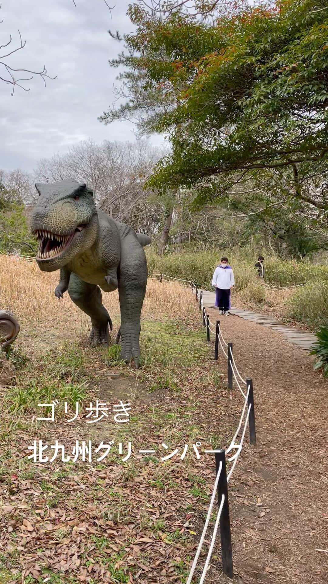 ゴリけんさんのインスタグラム動画 ゴリけんinstagram 北九州市のグリーンパークの中にある 恐竜がたくさんいるディノパークをゴリ歩き 3月21日 15時47分 Goriken1024
