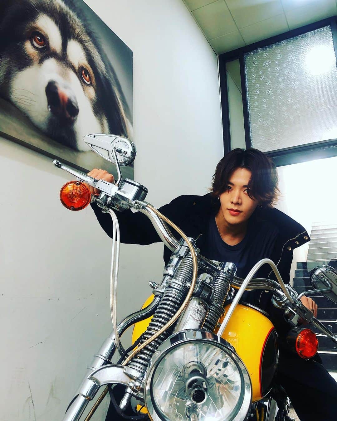 中本悠太さんのインスタグラム写真 中本悠太instagram このバイク久しぶりw 3月24日 15時21分 Yuu Taa 1026