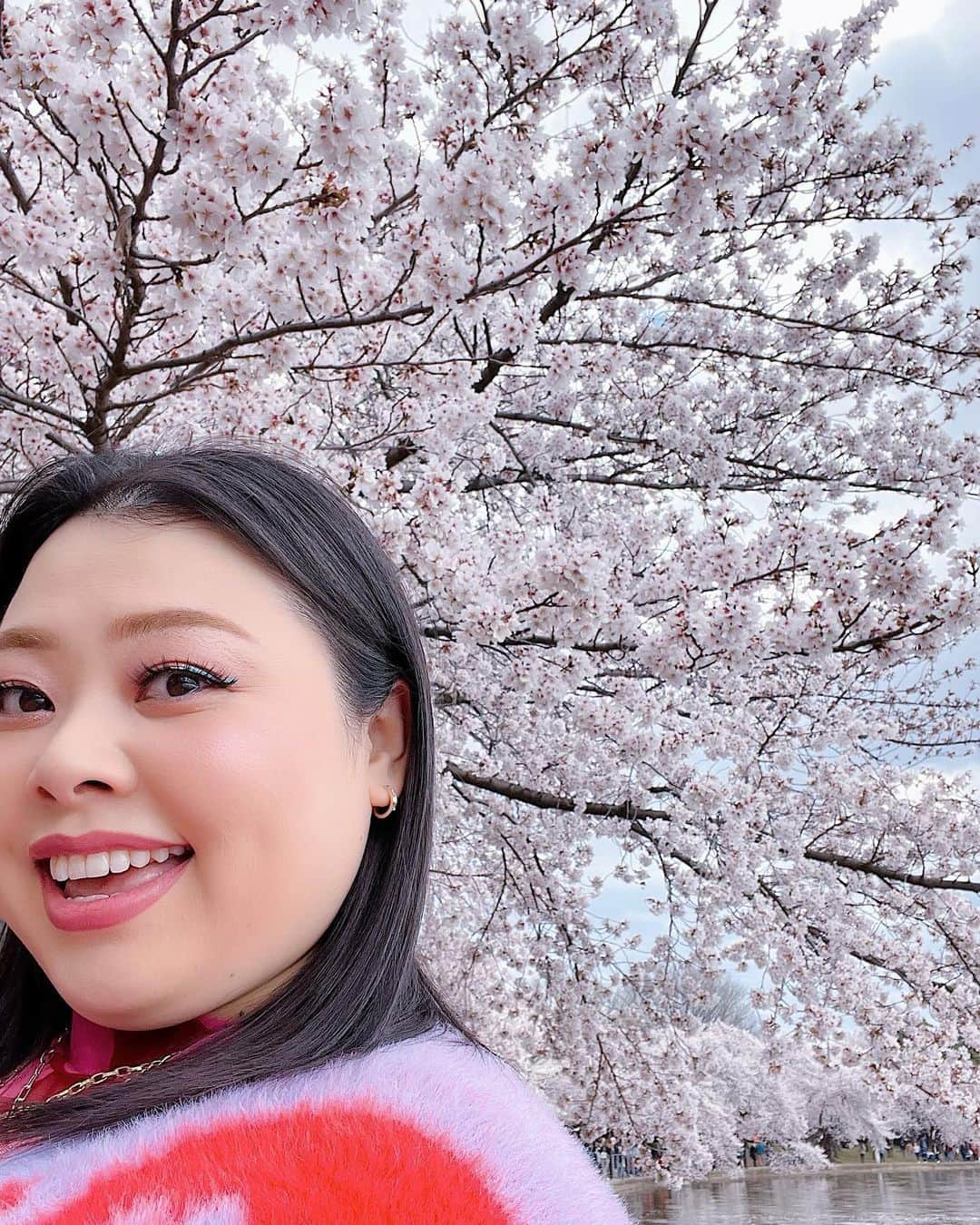 渡辺直美のインスタグラム：「初ワシントンD.C.🫶 全米桜祭りに行きました🌸 綺麗な満開大先生でした🥺🌸  友好の証に、日本からワシントンD.C.へ桜が寄贈されてから、今年で110年目らしいです🥰🌸 すっごい迫力の桜にちょっとウル🥲  でもぶっちゃけ、桜さんとの自撮りとてもむずいw どうしてもアングルが下からになるし、猫っ毛が顔にかかるから、なんか泣いたw  そして1番泣いたのは、一緒に行った友達の お喋りモンスター、スーシーが ワシントンD.C.行くまでの移動時間もずっと喋ってたこと😂 私が音楽聞くね☺️ってイヤフォンしても喋ってた😂聞いてほしいわけではないのかな？wまじで意味がわからない😂  スーシーが喋るたびに、 さくらが早く散ってるような気がした😂😂 どれくらいお喋りかは、ストーリーアーカイブをご覧ください😅  私の友達は昔、マシンガントークに耐えられなくて、スーシーの口を直接手で押さえたらしいよ😂それでも喋ってたらしい😂  でも、そんなスーシーが大好きなんだ😍🌸 一緒に桜見れて嬉しいよ🥹  美味しいカニ食べてたら時間がなくなっちゃって、行きたい博物館が全部閉まっちゃった…🫠次は泊まりがけで、全ての博物館制覇します☺️  まじ、D.C.最高😍😍  もちろん、最後の写真はTinder行きだよ😊クソ盛れたからね😊一枚目にしよ😊  みんなは何枚めが好き？w (毎回聞くのなに？w)  It was my first time in Washington D.C. I went to the Sakura Matsuri🌸 It was beautiful and in absolute full bloom🥺🌸  I heard that it’s been 110 years this year since Japan donated the cherry blossom trees to D.C. as a sign of friendship🥰🌸 Teared up a bit, seeing the impressive cherry blossoms🥲  It’s so hard taking selfies with them though – you have to shoot from the bottom up and because I have really soft hair, it gets in my face. It was so difficult – I think I cried a little lol  And I cried the most because my friend that I went with, Sushi, is such a chatter machine and he talked his ass off the whole time while traveling to D.C.😂 I told him I was going to listen to some music and wore earphones but he still talked 😂 He doesn’t even need me to listen lol I don’t get it😂  Every time Sushi talked, it felt like the cherry blossom petals were quickly falling off 😂😂 My friend told me that she couldn’t deal with his talkativeness anymore so she just went in and put her hand over his mouth to physically shut him up😂He still continued to talk, obviously😂  I still love Sushi though😍🌸 I was still happy to be able to see the cherry blossoms together🥹  We took too long devouring the delicious crabs and we couldn’t make it to the museum we wanted to go to… I’m going to stay the night next time and go to all the museums that I wanted to go to ☺️ D.C. was amazing foreal😍😍  Of course, the last photo will be used as my Tinder profile😊I look good right😊It’s going to be my first pic on my profile😊 Which photo do y’all like the best? Lol」