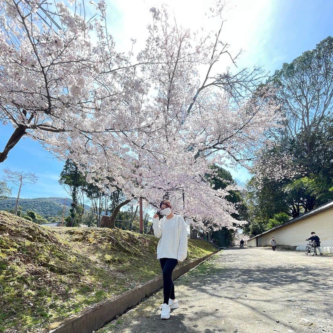 森田理香子のインスタグラム：「． ． 2022年4月1日🌸 まだまだ花粉は多いですが、 暖かくなってきて 過ごしやすい日が続いていますね。  私は自然を見て日々感動しています。 一日一日を 大切に過ごしたいなと思いながら 桜を眺めていました🌸 久しぶりに写真載せたいと思いまーす✨  皆様はどうお過ごしでしょうか？　  #4月#花見したい#日本の春#綺麗 #花粉は多い#辛い#人生 #愛する人#大切に」