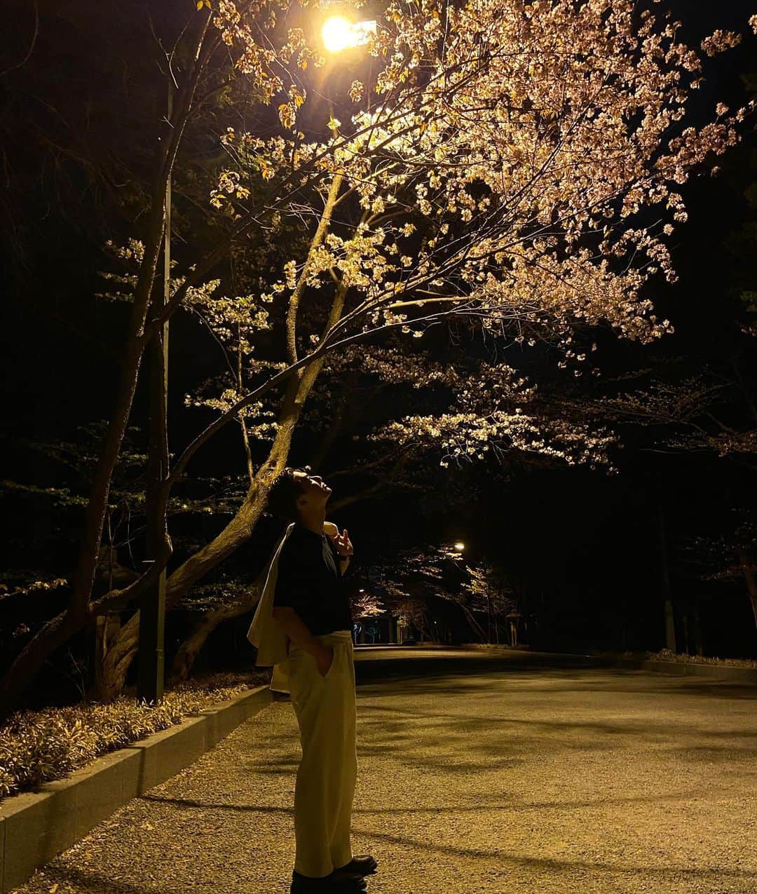 SHOKICHIのインスタグラム：「北海道桜満開でした🌸 なかなかLIVEは来れてないですがふるさとのみんながワクワク満載なビックプロジェクトが遂行中です👍 2年がかりでようやく夏くらいに発表できると思いますので楽しみにしていてください🫡」