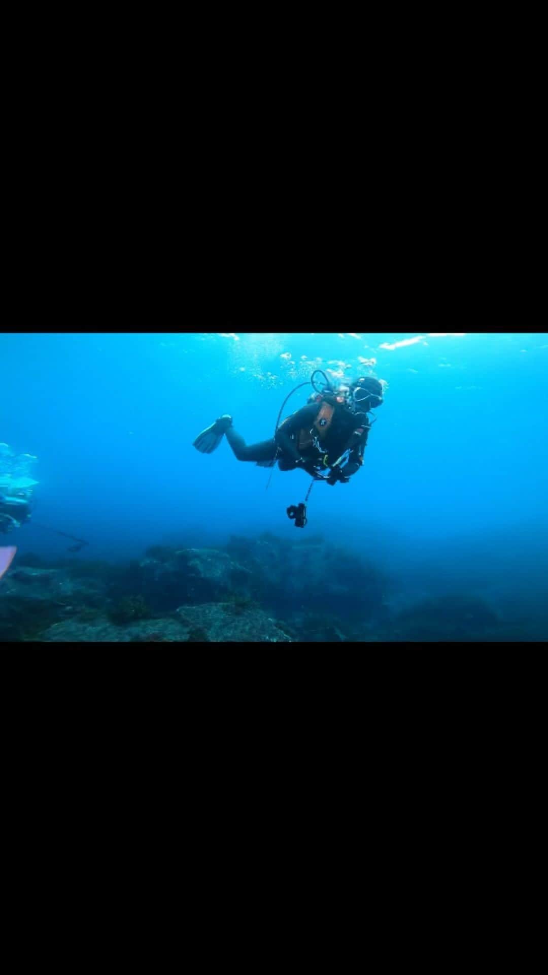 萩谷慧悟のインスタグラム：「水中動画で初リール作ってみました。  海底に広がる綺麗な砂紋は波の流れで、沖と岸の関係を教えてくれます。 水中ナビゲーションの基礎です。  #萩谷慧悟」