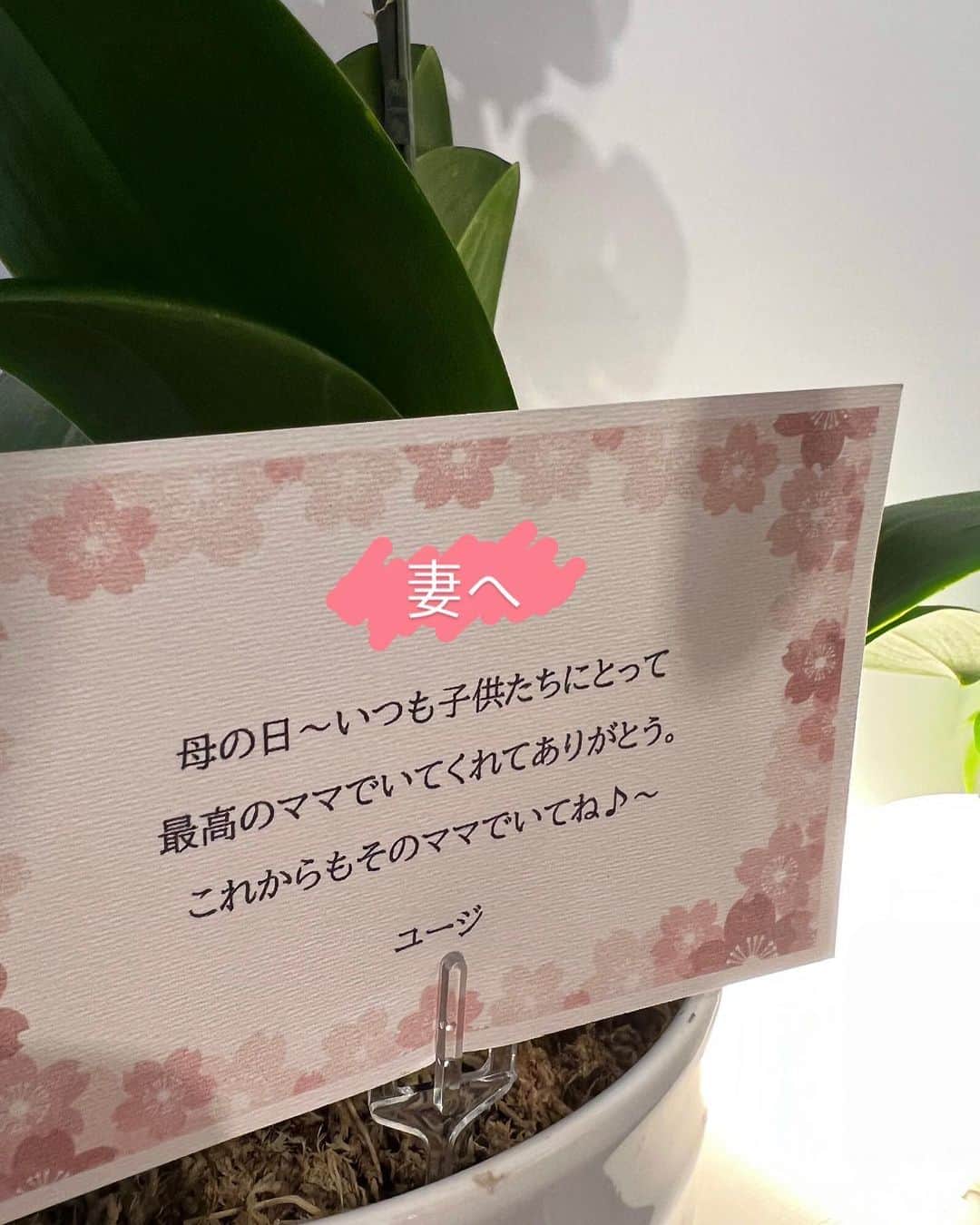 ユージのインスタグラム：「Happy 母の日🌸今日は妻と母と義母に日頃の感謝の気持ちを込めて花を送りました。今年は胡蝶蘭❗️  これを見てくれてる全てのお母さんへ！いつもありがとう😊👍🏼  #母の日」