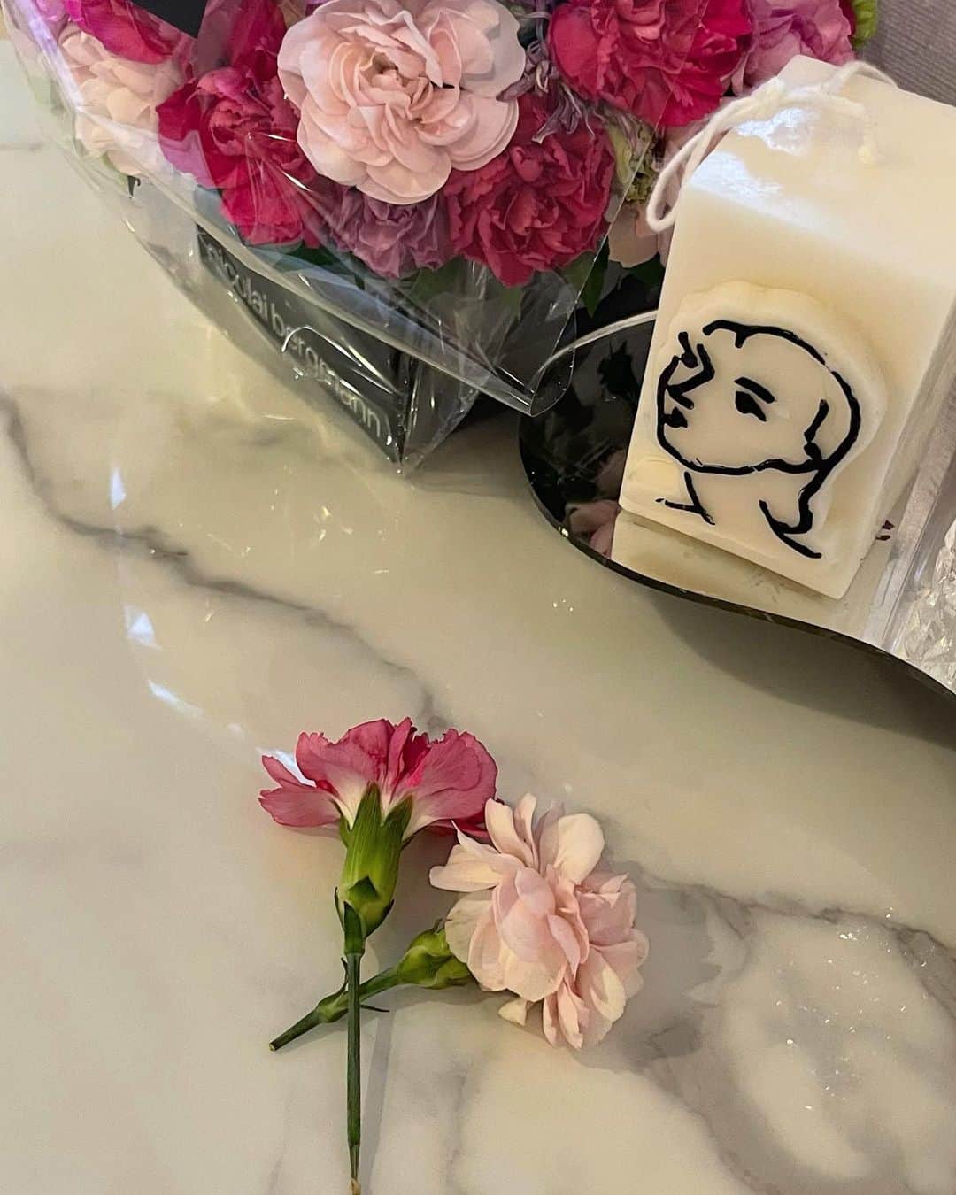 小澤美里のインスタグラム：「_  ある日らむねが 引き抜いてしまった お花の置き方が優しすぎて プレゼントしてくれたんだね。 と、勘違いを引き起こした日💐  #かっっ！？かわいい。」