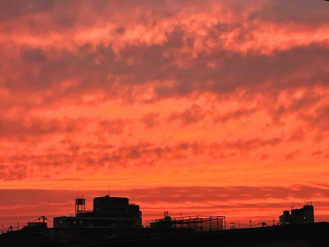 奥貫薫のインスタグラム：「.  「わぁぁぁぁぁーーー」って すごい大きなこえを出すから なにごとかと思って視線の先を見ると 濃い桃色に染まる空」