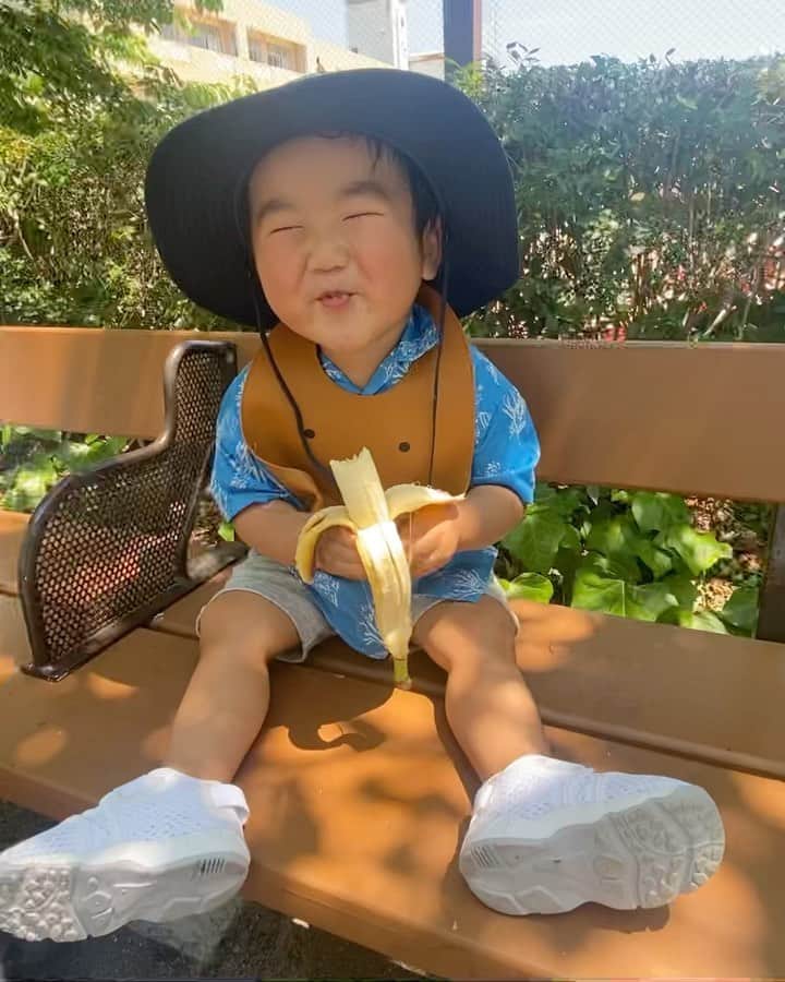Mai Wakimizuのインスタグラム：「息子がどれほどバナナを愛してるか伝わるかな？笑 1日1本は必ず食べてるし、バナナがあればなんとかなってる。笑 ただこのムチムチ体型はきっとバナナせい(おかげ)でしょう。笑 バナナおいちー♡公園での一コマでした＼(^o^)／ #1歳10ヶ月#1歳男の子」