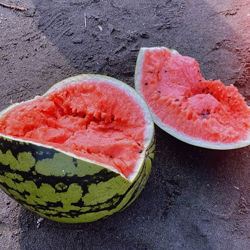 辻りりさのインスタグラム：「.  #enoshima  #beach  #watermelon」