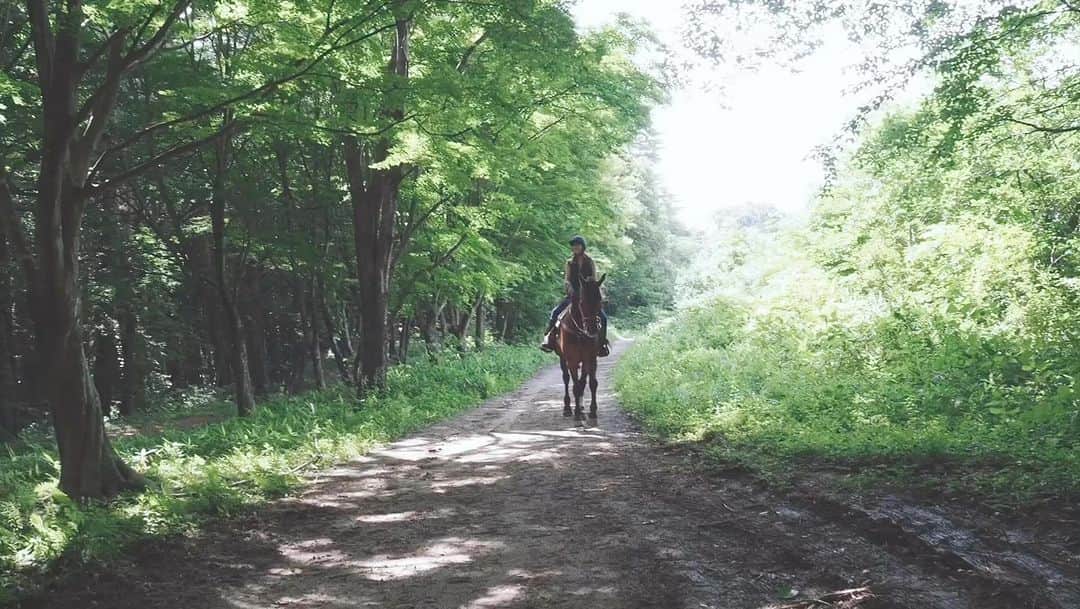 大塚愛のインスタグラム：「朝にChimeをのせて。  よし、ご機嫌で行きましょう！  AIO #乗馬 #散歩 #おはよう #朝」