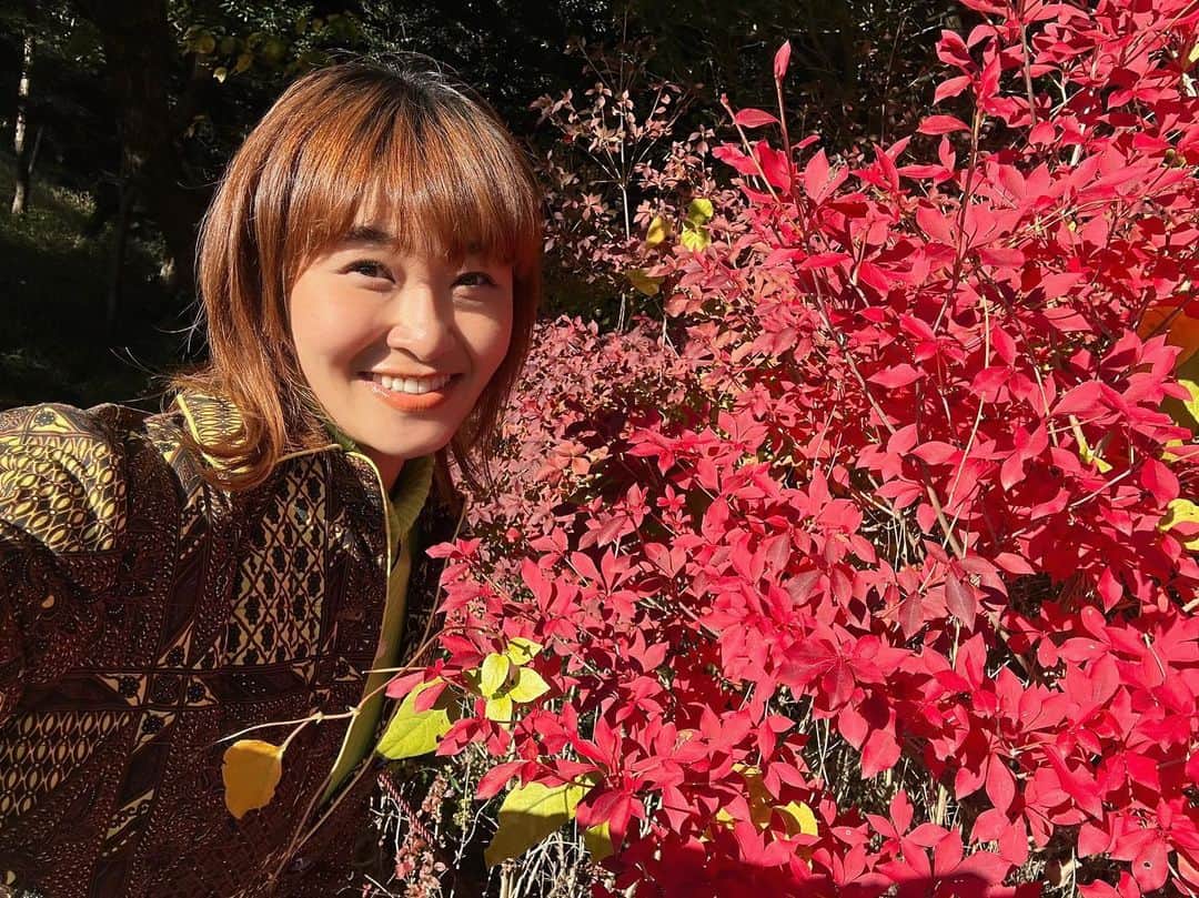 村上佳菜子のインスタグラム：「もう紅葉の季節だね🍁❤️ . . . #ジブリパーク　#自然 #紅葉　#愛知県　#もみじ」