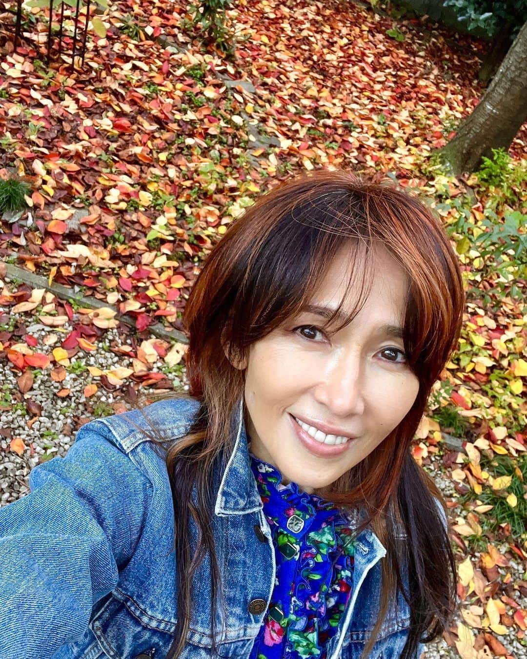 工藤静香のインスタグラム：「紅葉がとっても美しい✨✨🍁💕  エトくんもウキウキでした💕  ソメイヨシノの紅葉」
