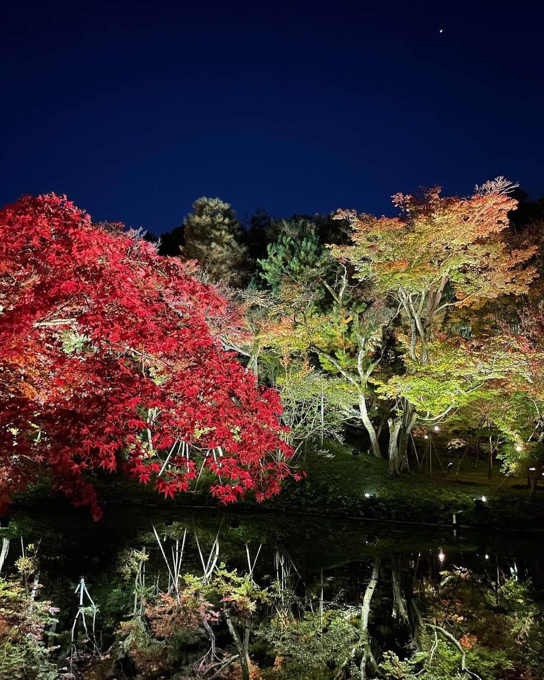 光野有菜のインスタグラム：「最近見た紅葉🍁  水面に映る逆さ紅葉が素敵😌 ライトアップもプロジェクションマッピングもすごく綺麗でした~!!」