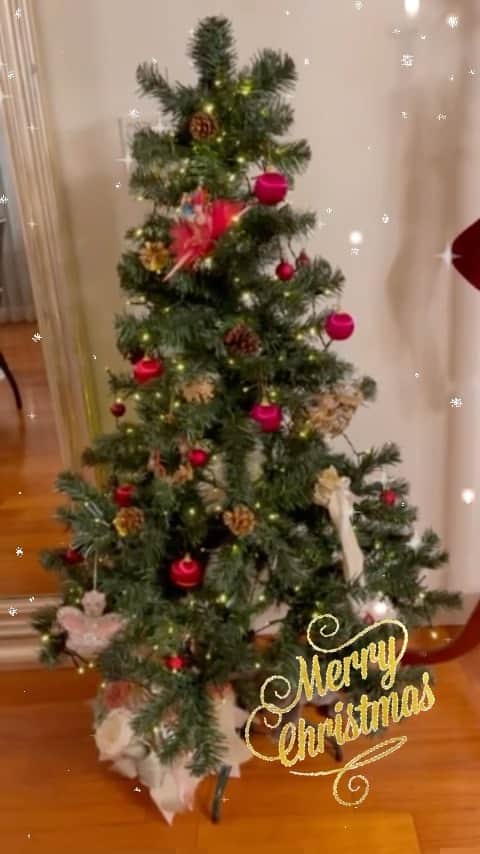 伊藤蘭のインスタグラム：「✨ 久しぶりに ツリーを飾ってみました🎄 綺麗なオーナメントをいただいてhappy✨💕 ⁡ 楽しいクリスマスを お過ごしくださいね🎅🏻 ⁡ #伊藤蘭 #MerryXmas #素敵なクリスマスを😊 #そしてゲンタは何思う😏」
