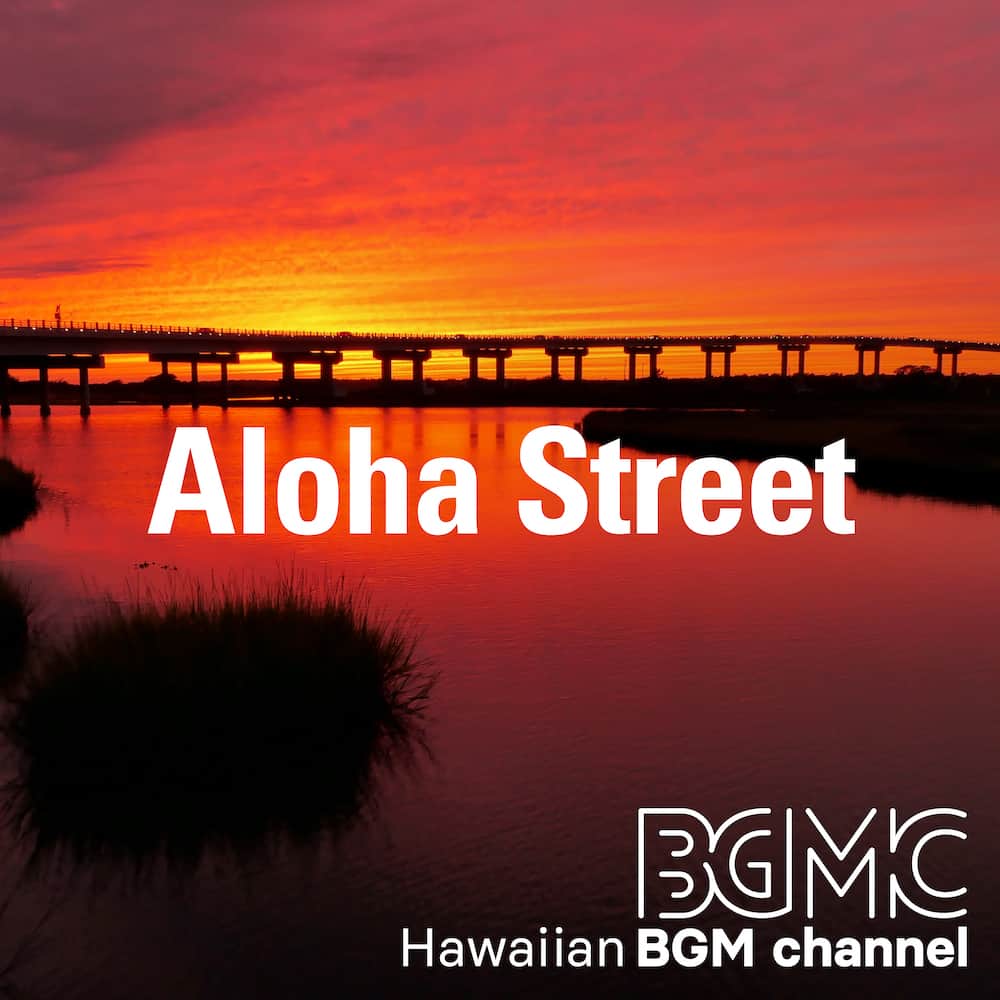 Cafe Music BGM channelさんのインスタグラム写真 - (Cafe Music BGM channelInstagram)「／ 🎂 New Release ＼  Mar. 17th In Stores 🎧 Aloha Street  With gentle guitar melodies and Hawaiian rhythms, this album captures the essence of the Rainbow State and leave you feeling happy and Aloha. If you're looking for a musical escape to a tropical paradise, let their music take you on a journey and experience the magic of Hawaii.  Listen on @Spotify, @AppleMusic, @youtubemusic, and more 👉 https://bgmc.lnk.to/Thq0QaH2  #HawaiianBGMchannel #AlohaStreet #WorldMusic #RegionalFolklore #PacificIsland #HawaiianMusic #TropicalParadise #GuitarMelodies #HawaiianRhythms #RainbowState #MusicJourney」3月18日 23時54分 - bgmc_bgmchannel