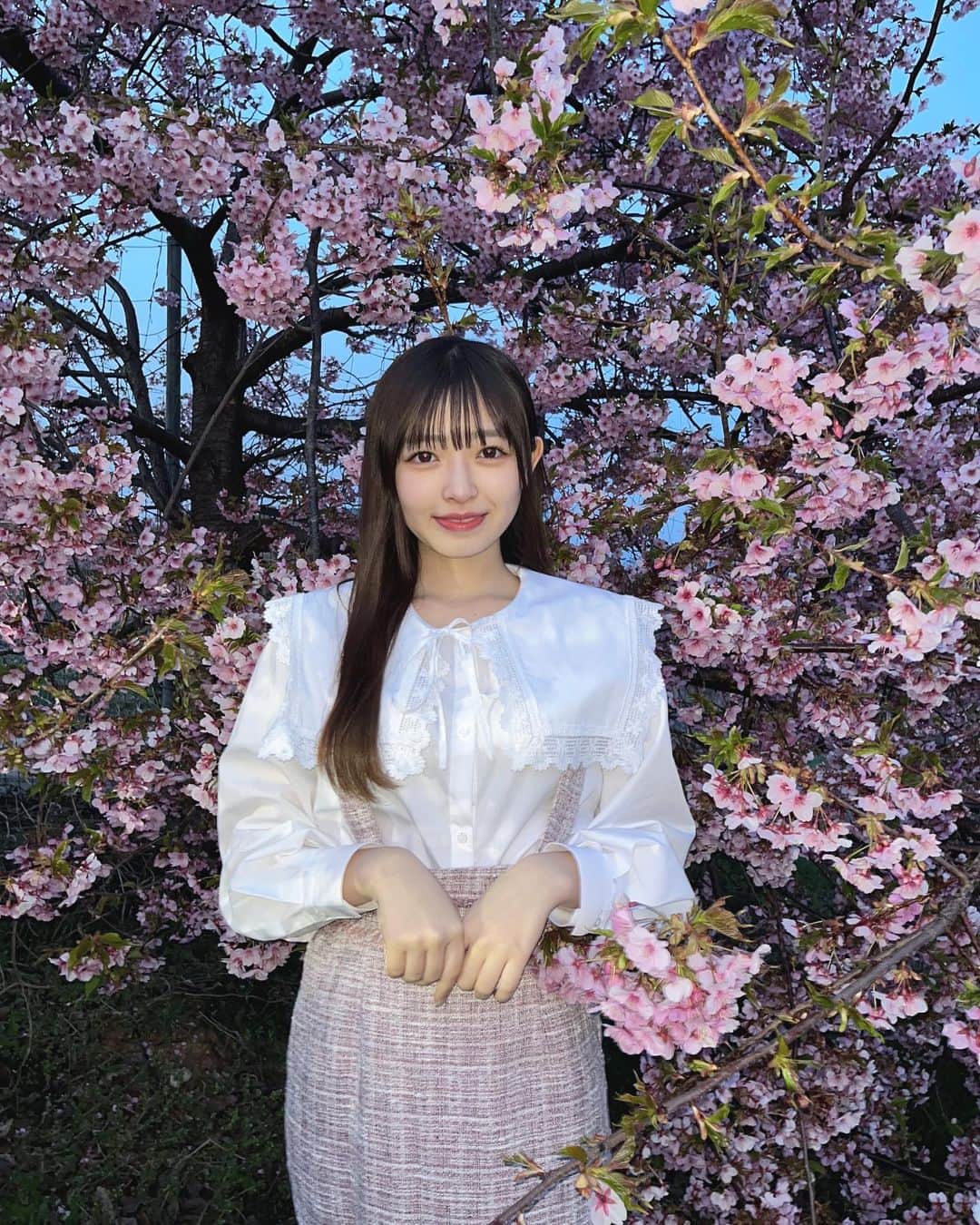 黒江心温のインスタグラム：「𓂃🌸𓈒𓏸       東京戻ってくる前に桜見に行ってきたの💭     一瞬しか見れなかったけど綺麗だったよ〜！！          #今日好き  #サムイ島編   #桜」