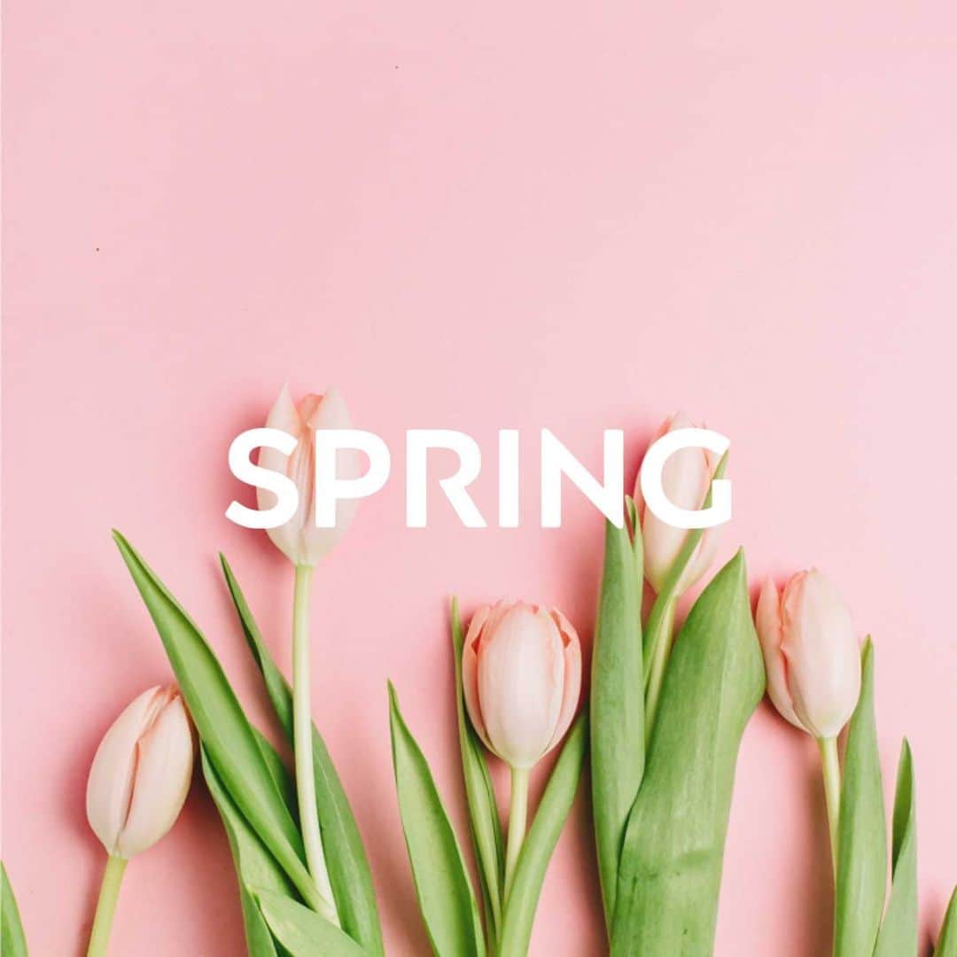 村主章枝のインスタグラム：「I love spring🌸 春、大好き💗 #spring」