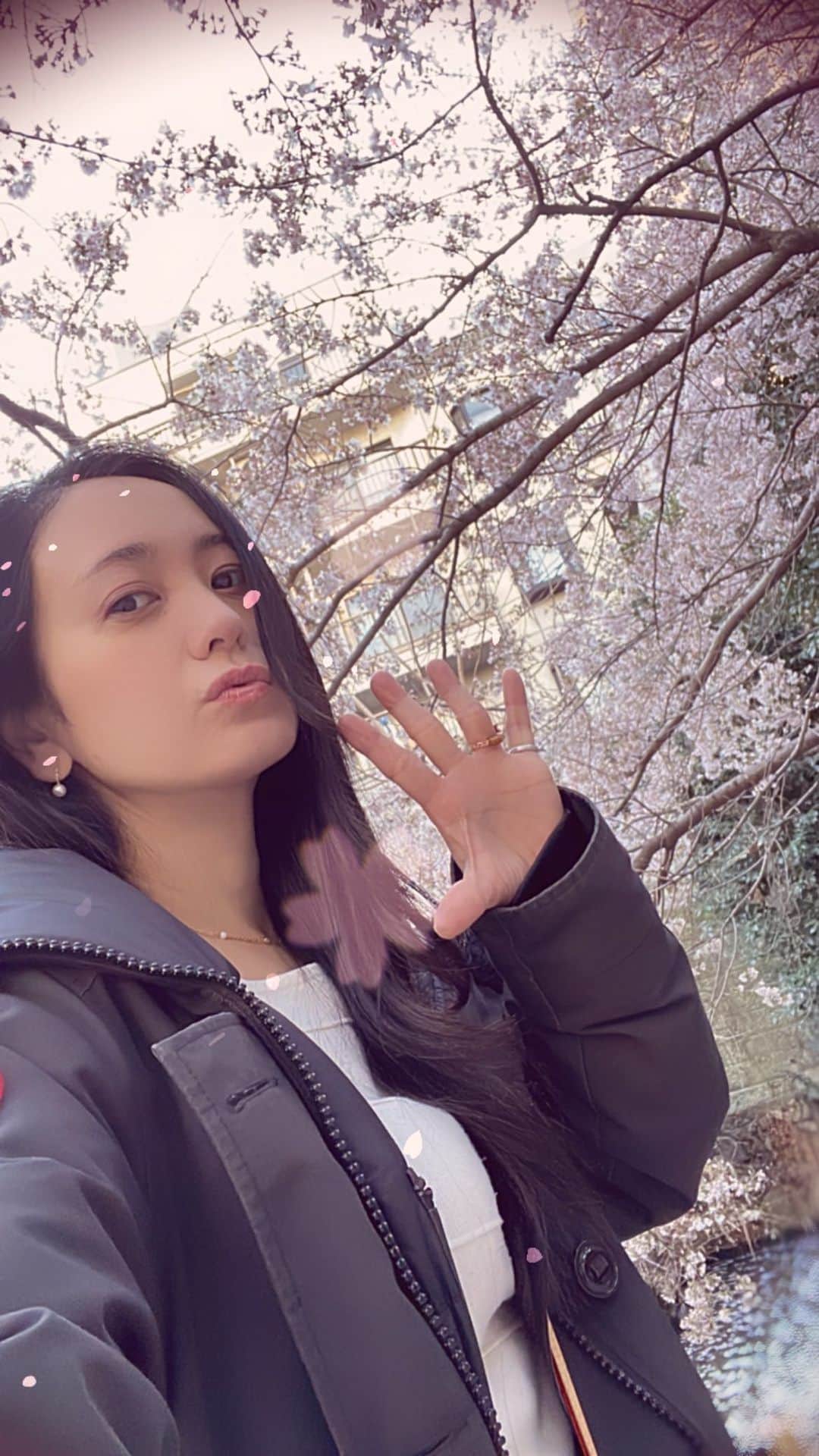 脊山麻理子のインスタグラム：「かつての花街の桜♡綺麗でした♡ #津ノ守弁財天 #四ツ谷 #荒木町 #花街 #みるくぽん #桜の木の下で」