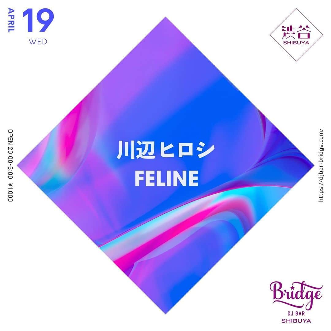 川辺ヒロシのインスタグラム：「水曜渋谷BRIDGEはFELINEとの３ヶ月連続企画の3回目です！ 是非〜」
