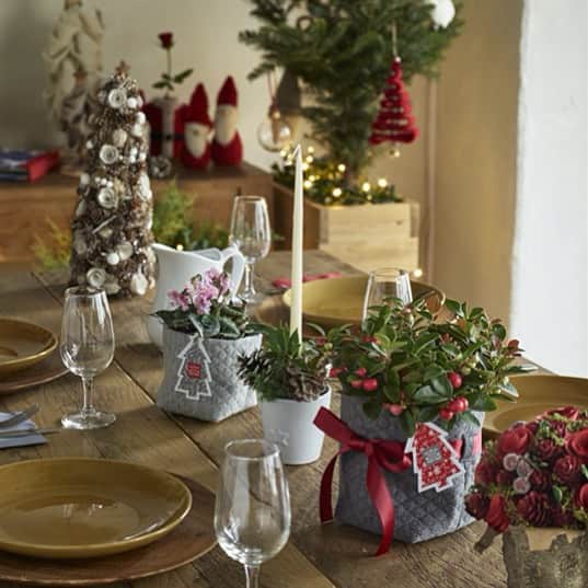 青山フラワーマーケットさんのインスタグラム写真 青山フラワーマーケットinstagram クリスマス の定番の鉢花はポインセチアやシクラメンですが 今年は赤い実をつけるチェッカーベリーなどもおすすめです 海外のインテリアをまねて テーブルフラワーとして飾るのも